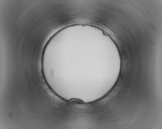 X0000111480904200908111158