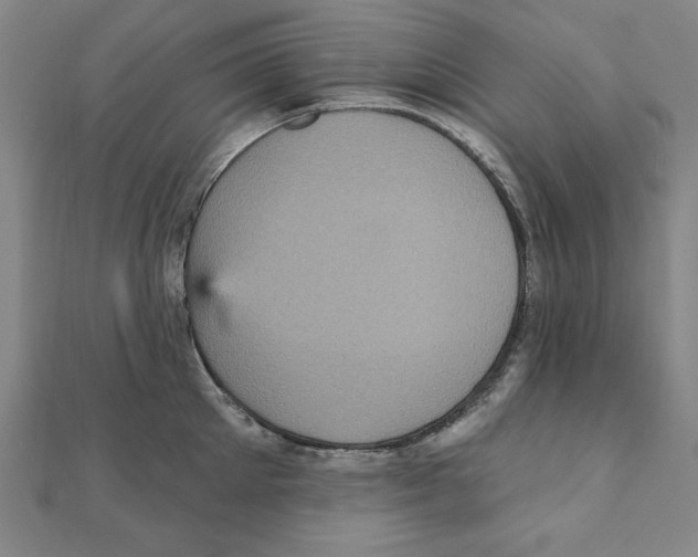 X0000111480905200908111158