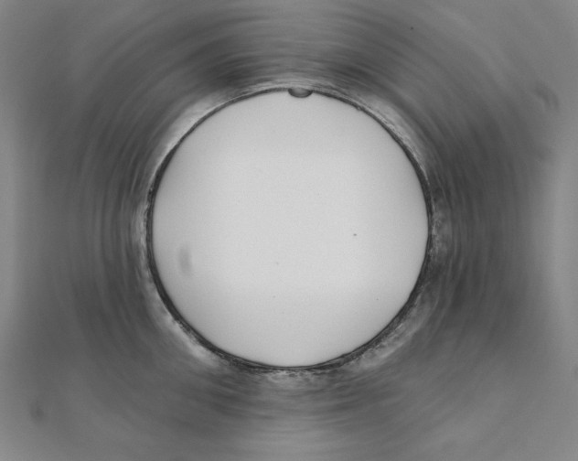 X0000111480906200908111158