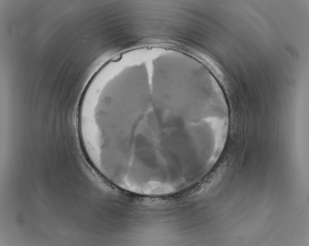 X0000111480907200908111158