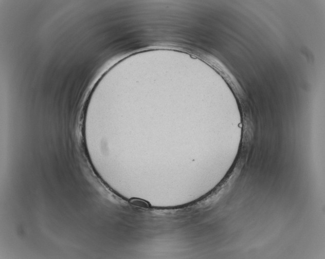 X0000111480908200908111158