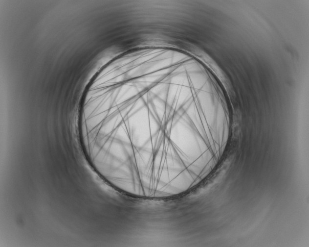 X0000111480909200908111158