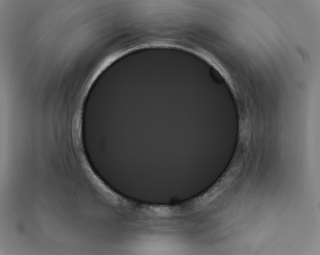 X0000111480911200908111158