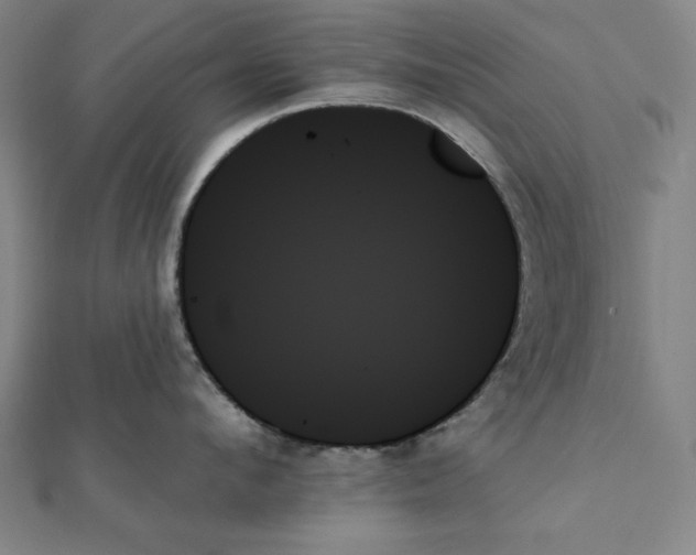 X0000111480912200908111158