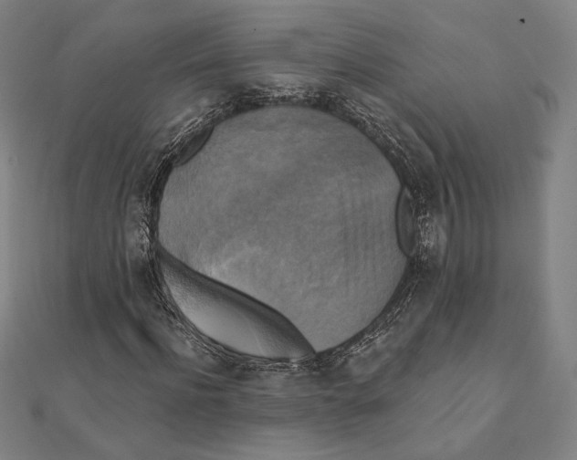 X0000111480916200908111157
