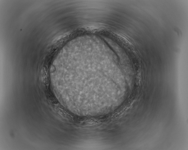 X0000111480917200908111157