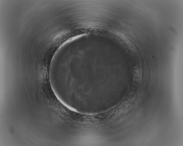 X0000111480918200908111158