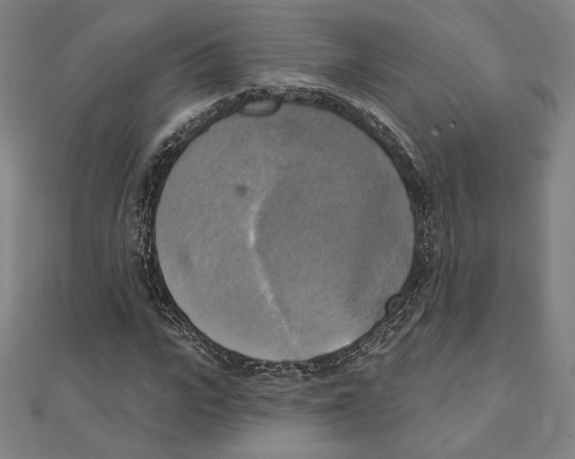 X0000111480919200908111158