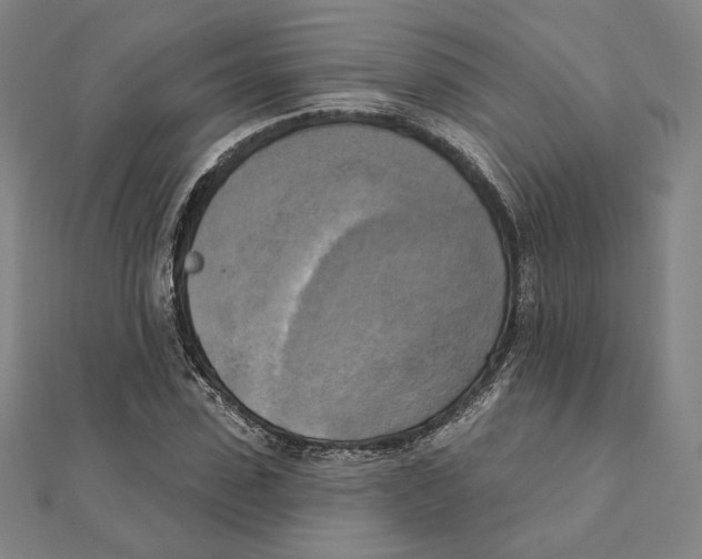 X0000111480923200908111158