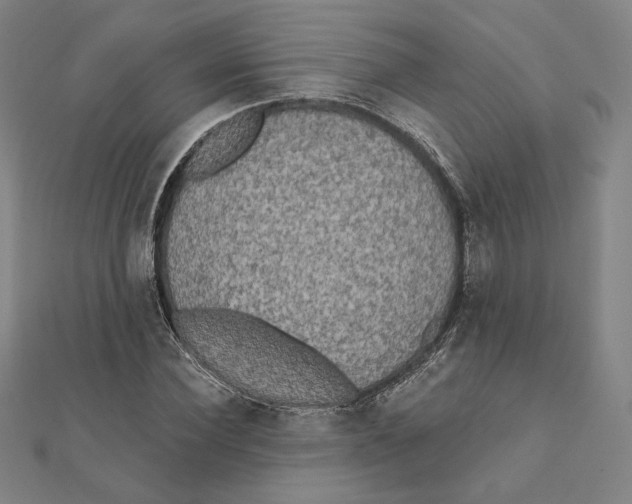 X0000111480924200908111158