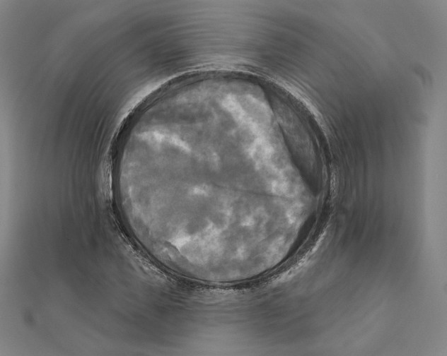 X0000111480925200908111158