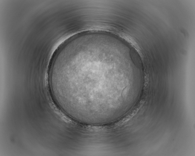 X0000111480928200908111158