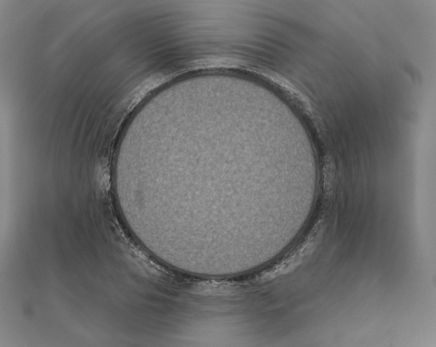 X0000111480929200908111158