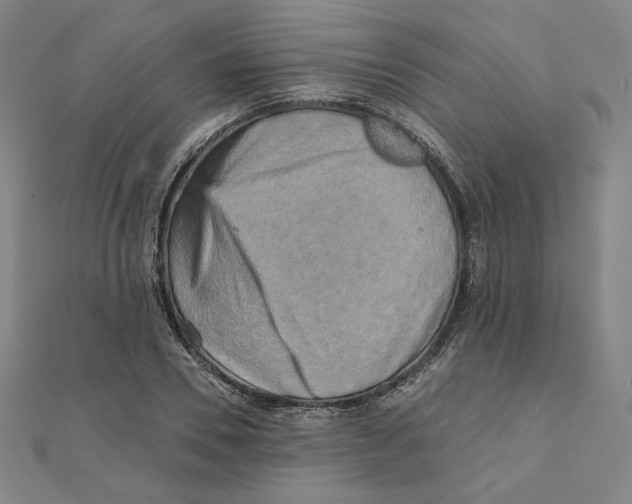 X0000111480930200908111158