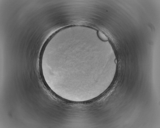 X0000111480932200908111158