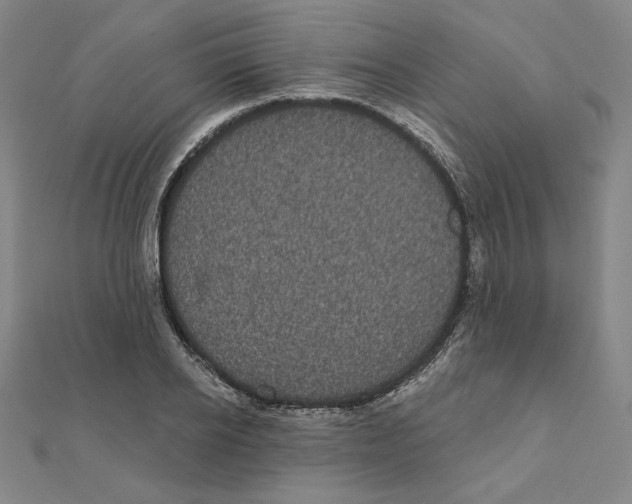 X0000111480934200908111158