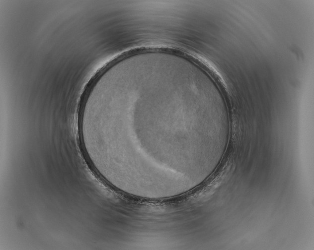 X0000111480935200908111158