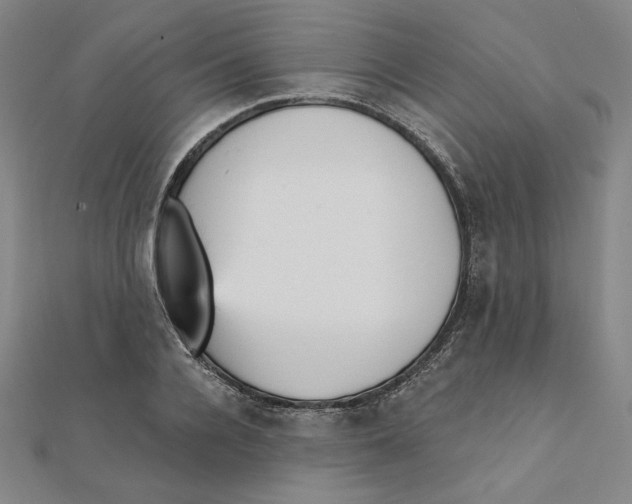 X0000111480936200908111158