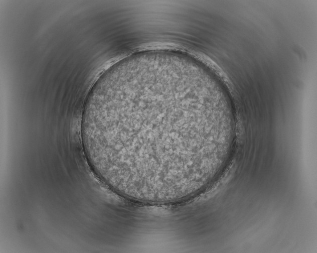 X0000111480937200908111158