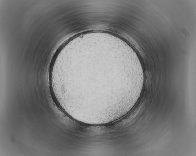 X0000111480939200908111158