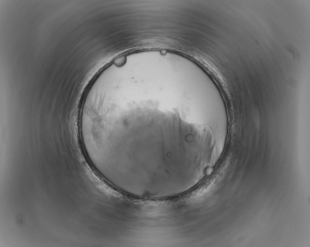 X0000111480941200908111158
