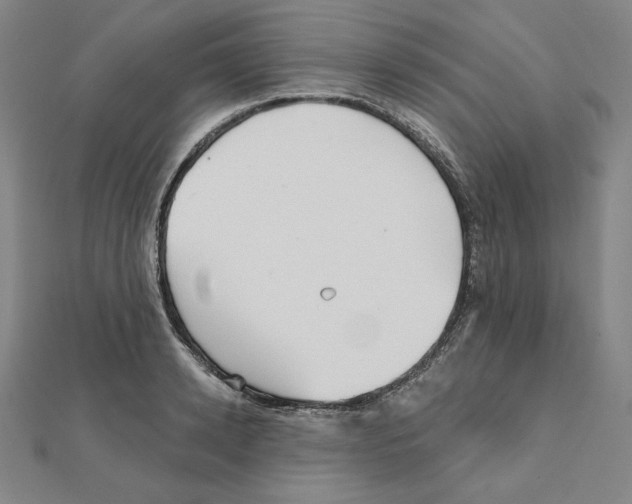 X0000111480942200908111158