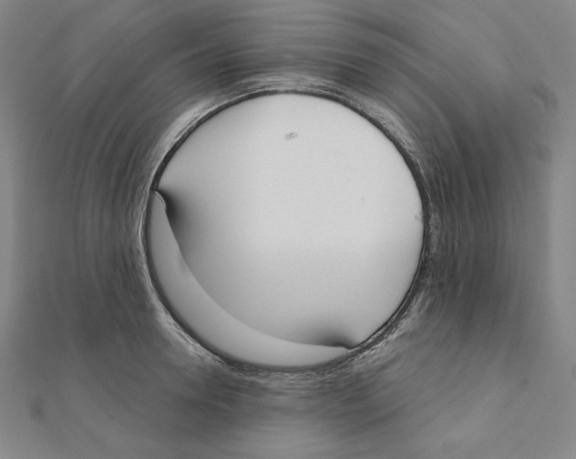 X0000111480946200908111158