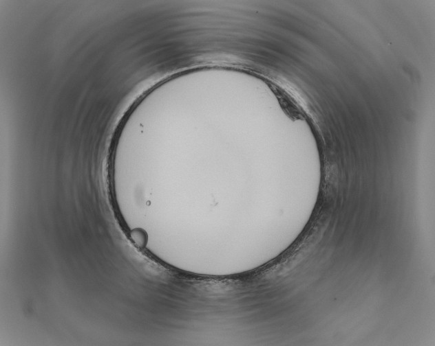 X0000111480947200908111158
