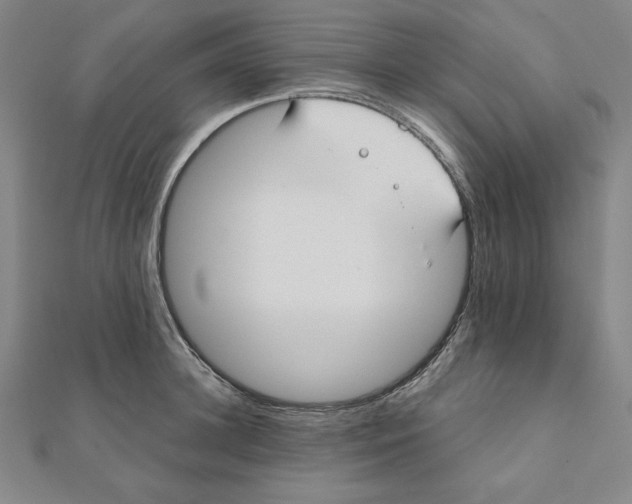 X0000111480948200908111158