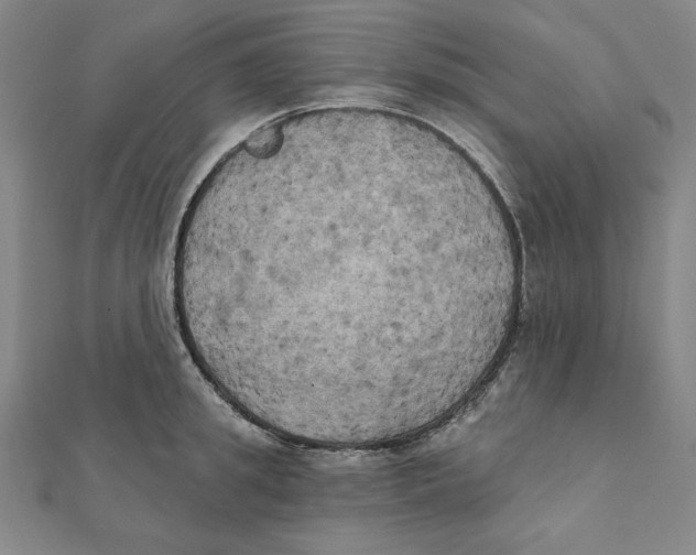 X0000111480949200908111158