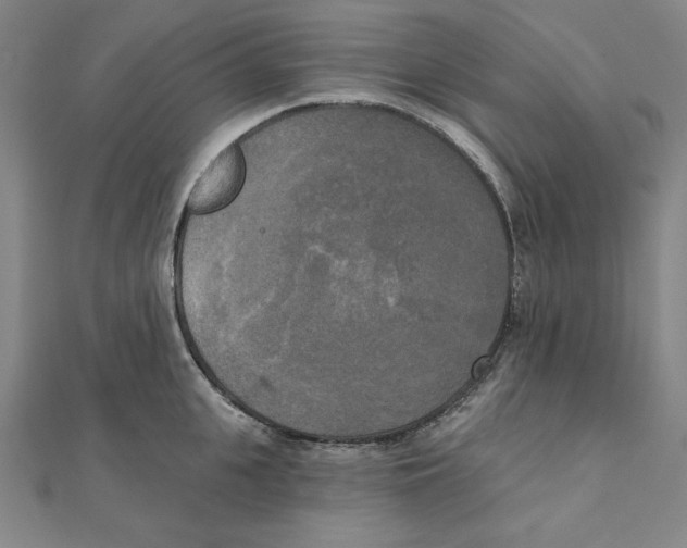 X0000111480951200908111158