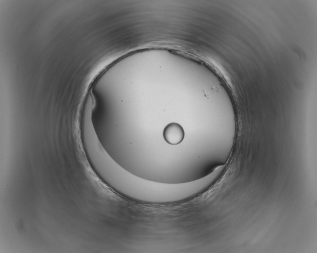 X0000111480952200908111158