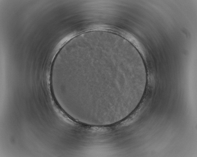 X0000111480954200908111158