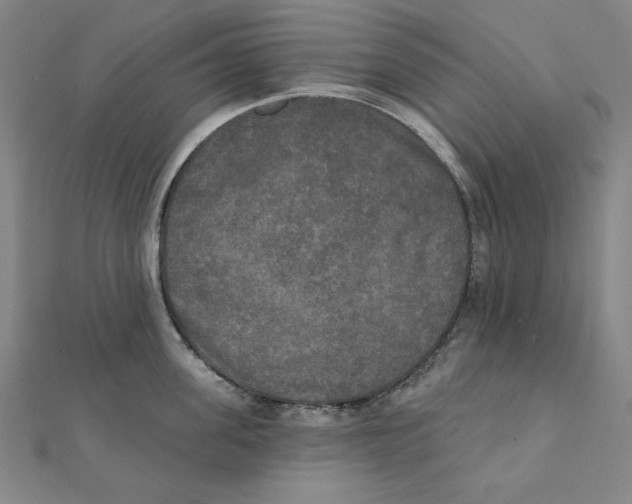 X0000111480955200908111158
