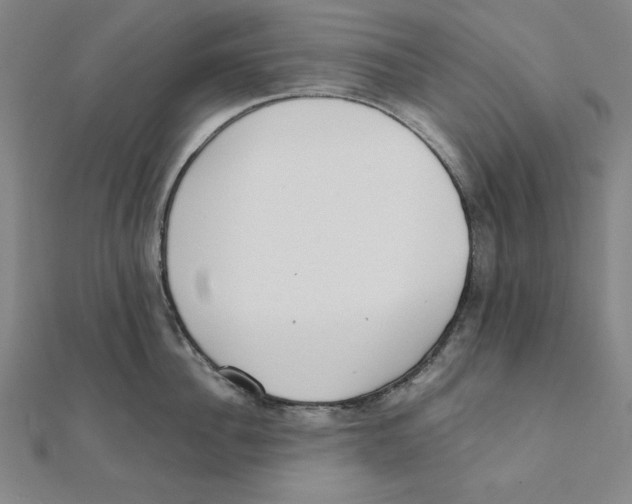 X0000111480956200908111158