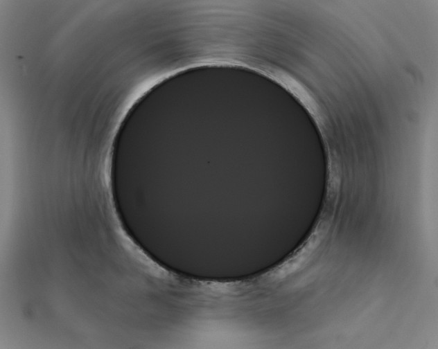 X0000111480958200908111158