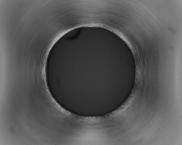 X0000111480959200908111158