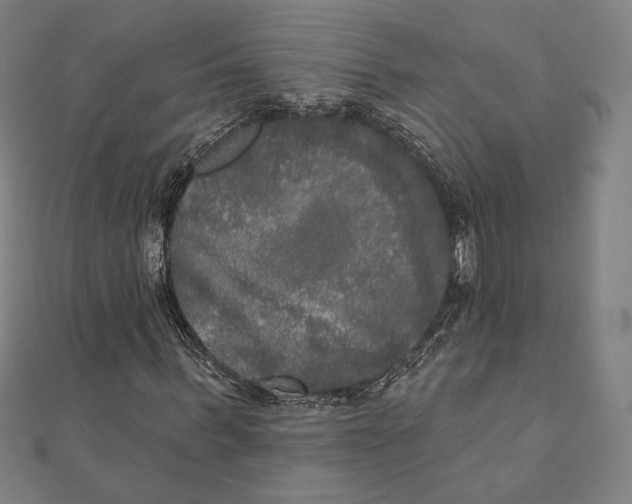 X0000111480963200908111157