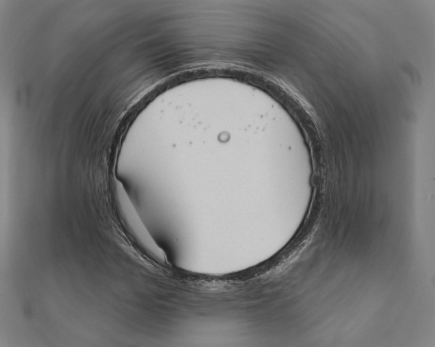 X0000111480969200908111157