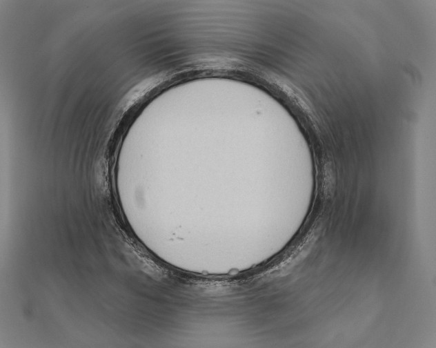 X0000111480970200908111157
