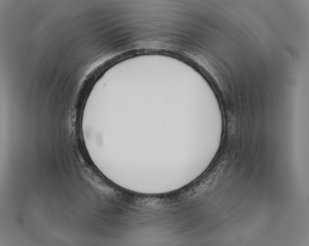 X0000111480971200908111157