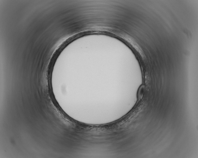 X0000111480972200908111157