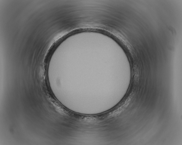 X0000111480974200908111157
