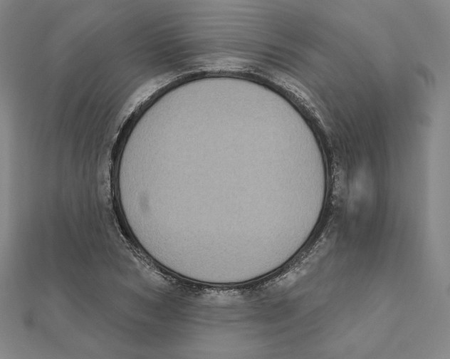 X0000111480978200908111157