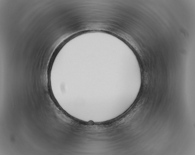 X0000111480980200908111157
