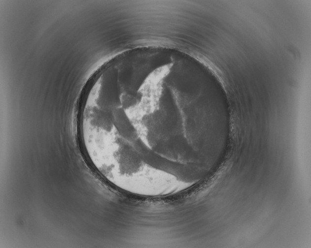 X0000111480983200908111157