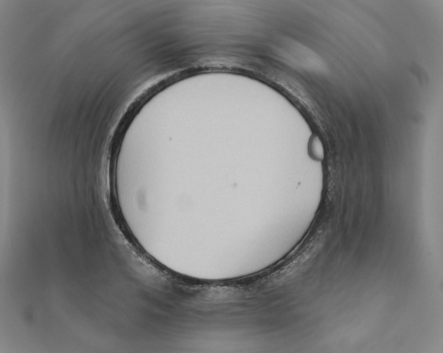 X0000111480984200908111157