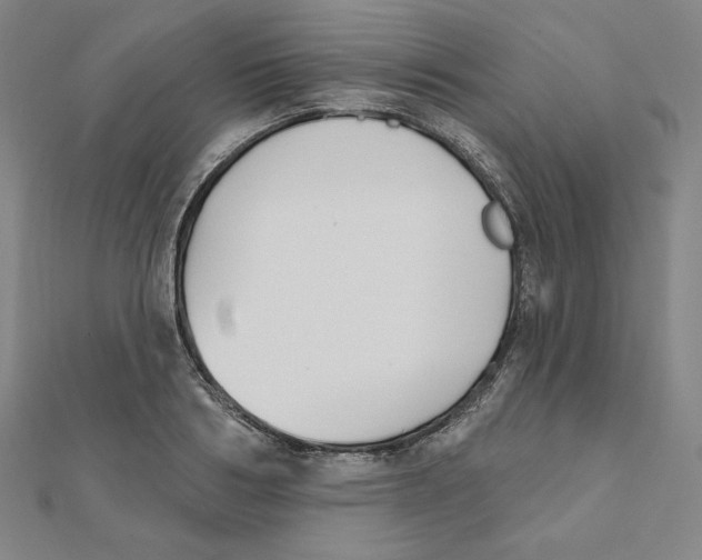 X0000111480986200908111157