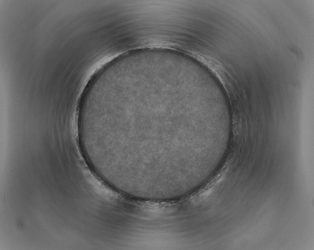X0000111480987200908111157