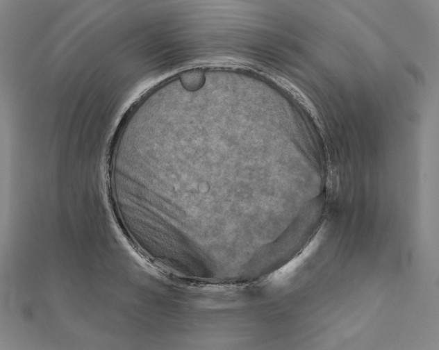 X0000111480989200908111157